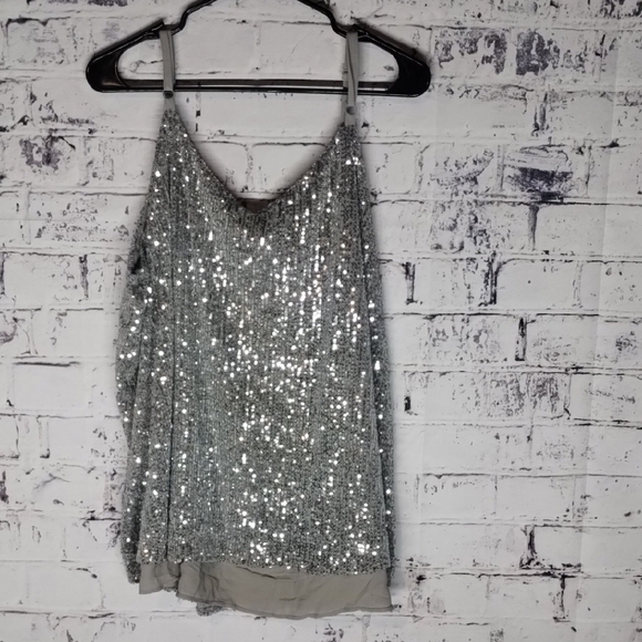 ✨Torrid Silver Sequin Sofie Size 4 Camisole Top - Picture 6 of 6